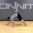Bodyweight Exercise: Hand Walkout to Push Up