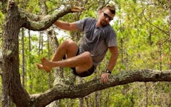 4 Reasons You Should Start Climbing Trees