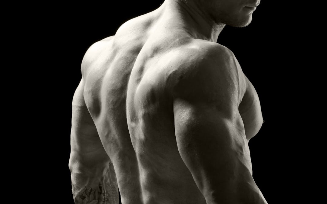 4 Exercises to Give You an Unbreakable Back