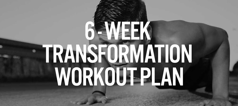 Cause & Effect: Why You Can't See Your Abs + 6 Week Transformation Plan