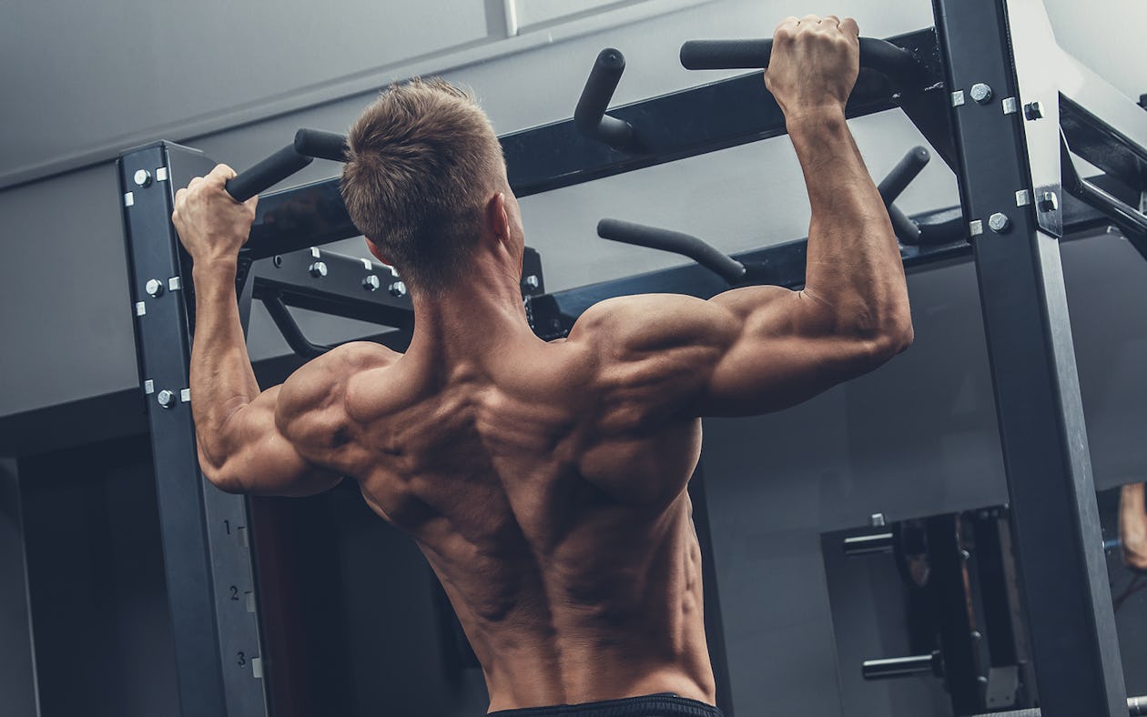 Attractive muscular woman, holding on pull ups bar, back view