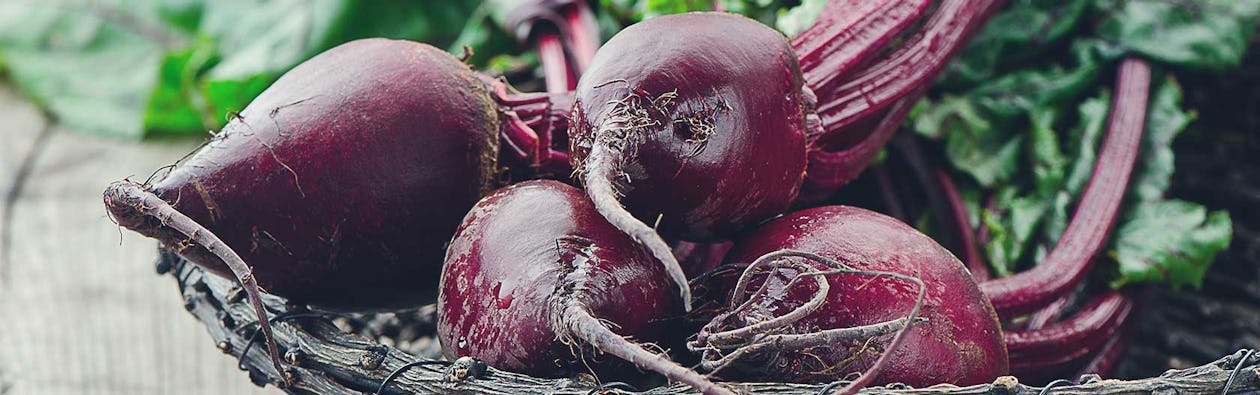 Carbohydrate Foods Are Not Evil: The Poison Is In the Dose