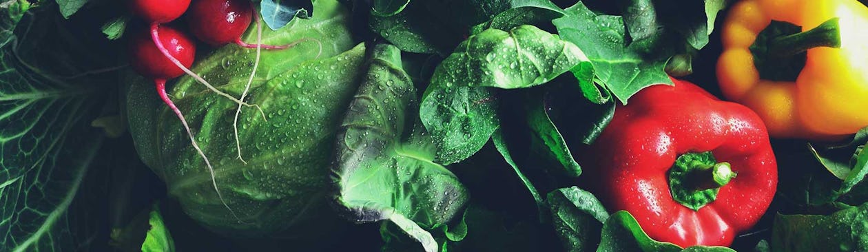 Carbohydrate Foods Are Not Evil: The Poison Is In the Dose