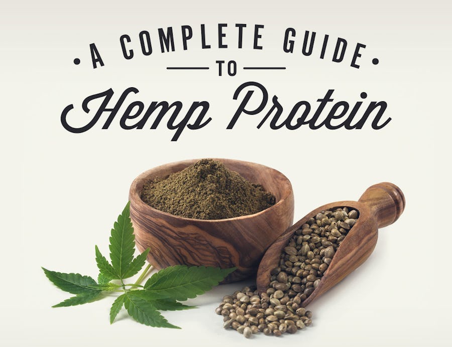 The Complete Guide to Hemp Protein