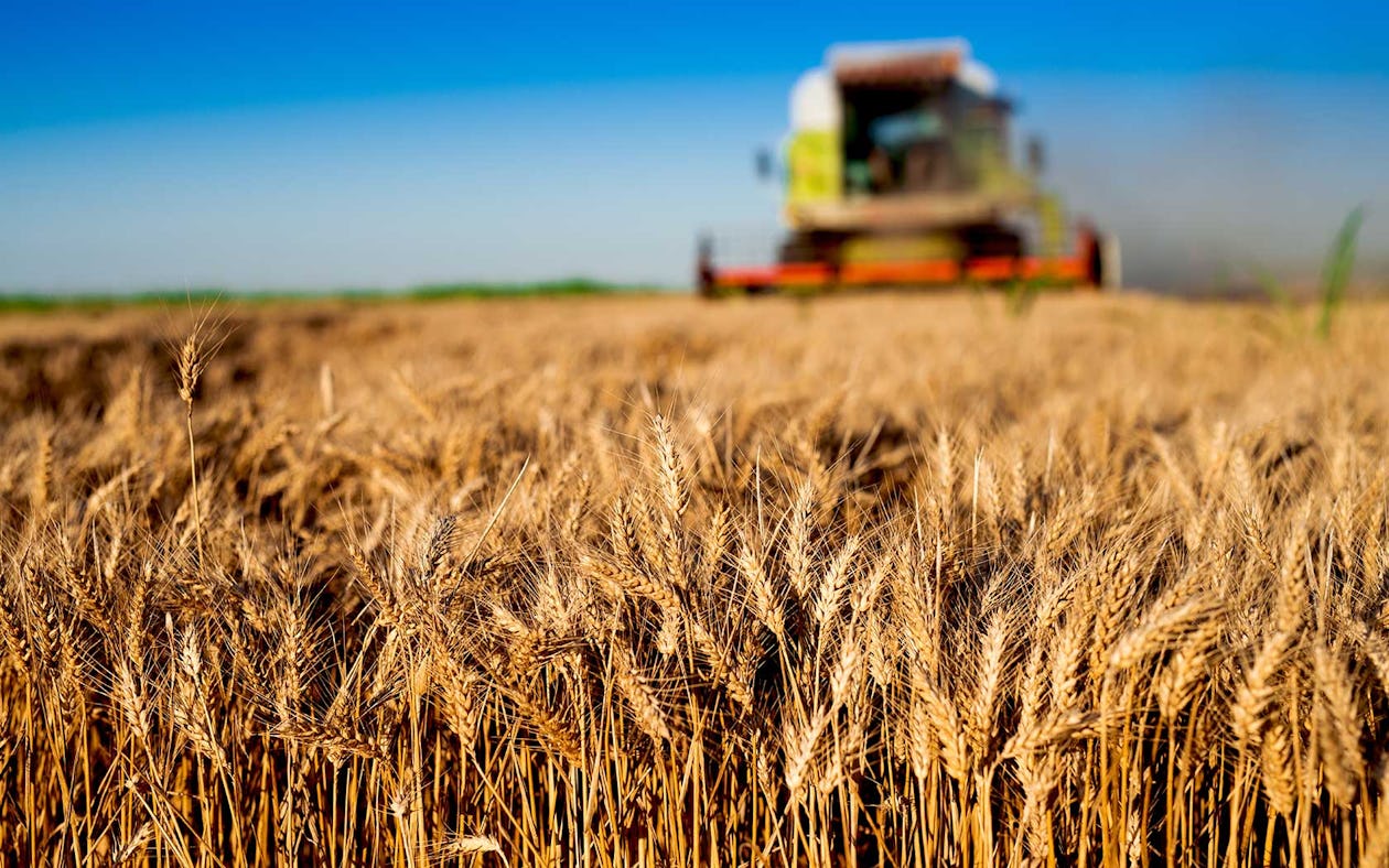 Harvest crops