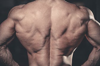 When working out, should one perform all the exercises for one muscle group  in a row, or should exercises be alternated with other muscle groups? -  Quora