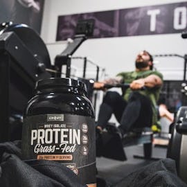 Creatine Vs. Whey Protein: What You Should Know - Onnit Academy