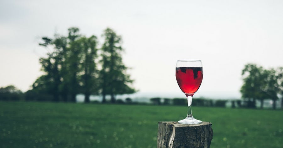 The Expert's Guide To Alcohol on the Ketogenic Diet