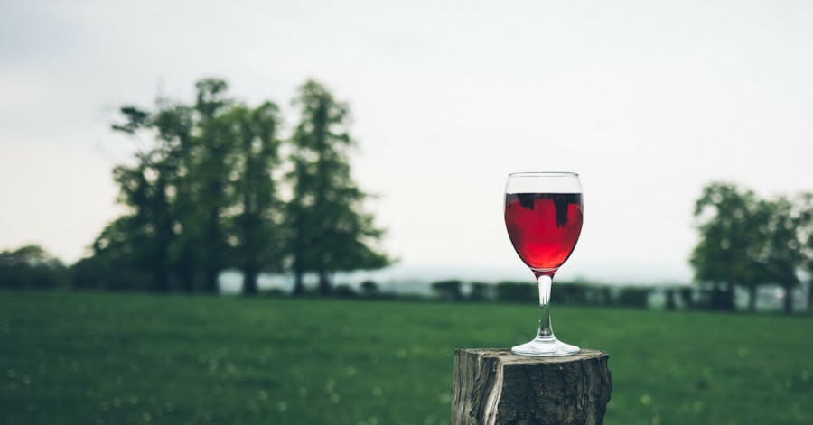 The Expert S Guide To Alcohol On The Ketogenic Diet Onnit Academy