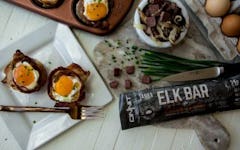 elk recipes