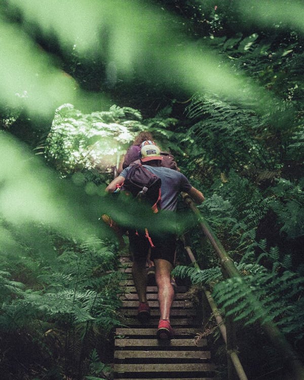 Forest Bathing: Bust Stress and Boost Your Health by Reconnecting With Nature