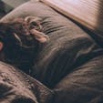 The Sleep Smarter 14-Day Sleep Makeover Journal