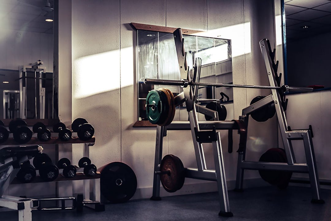 Barbells vs Dumbbells: What's Better for your Workout? - Onnit Academy