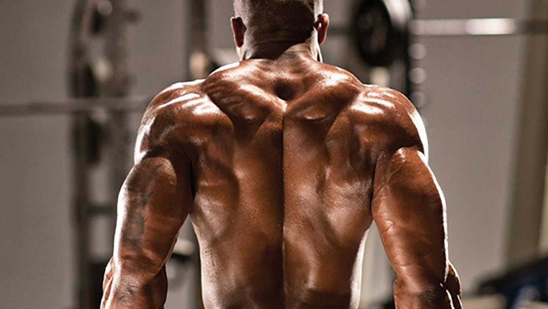 5 Traps Exercises and 2 Workouts for Getting Huge