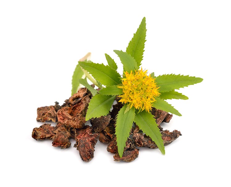 Benefits of Rhodiola Rosea: Is It Right For Me?