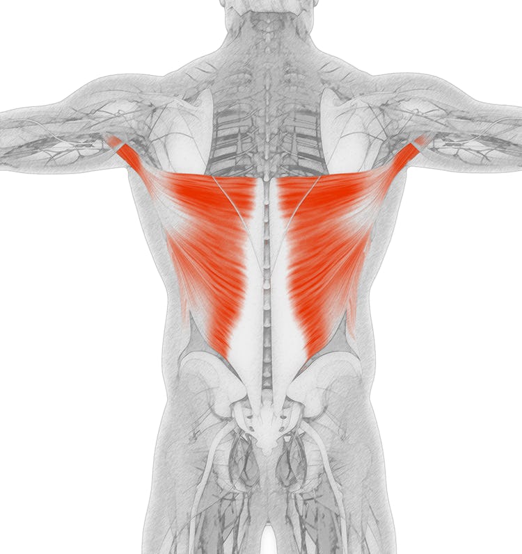 Lat Spread - How to Flare Your Lats for V Taper Back