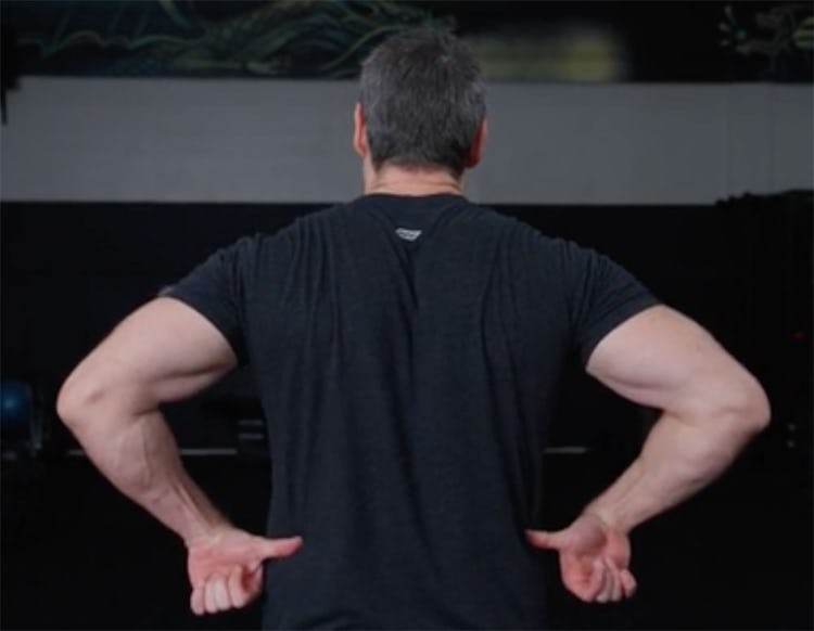Editor-in-Chief Sean Hyson points to the muscles the chest-supported row works.